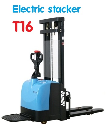 Pallet nhựa Việt Xanh