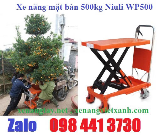 Pallet nhựa Việt Xanh