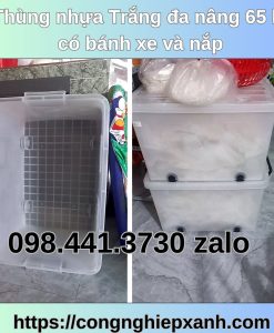 Thung-nhua-trang-da-nang-65-lit-mau-trang