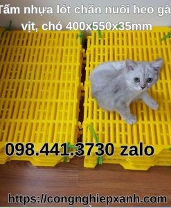 san-nhua-chan-nuoi-40x55x35mm