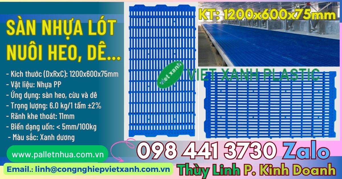 Pallet nhựa Việt Xanh