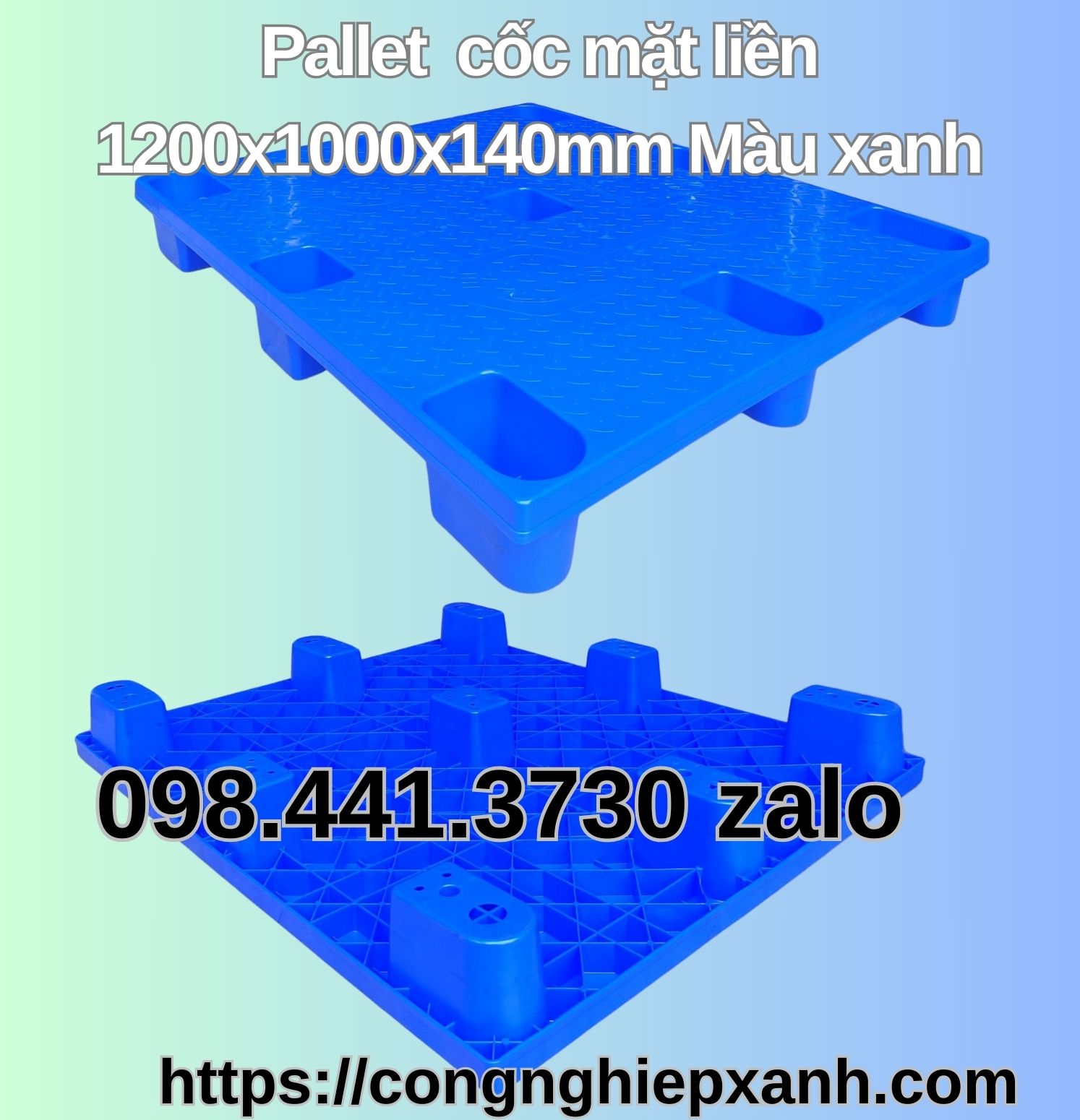 Pallet nhựa màu đen
