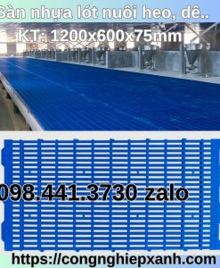 San-nhua-lot-nuoi-de-heo-ga